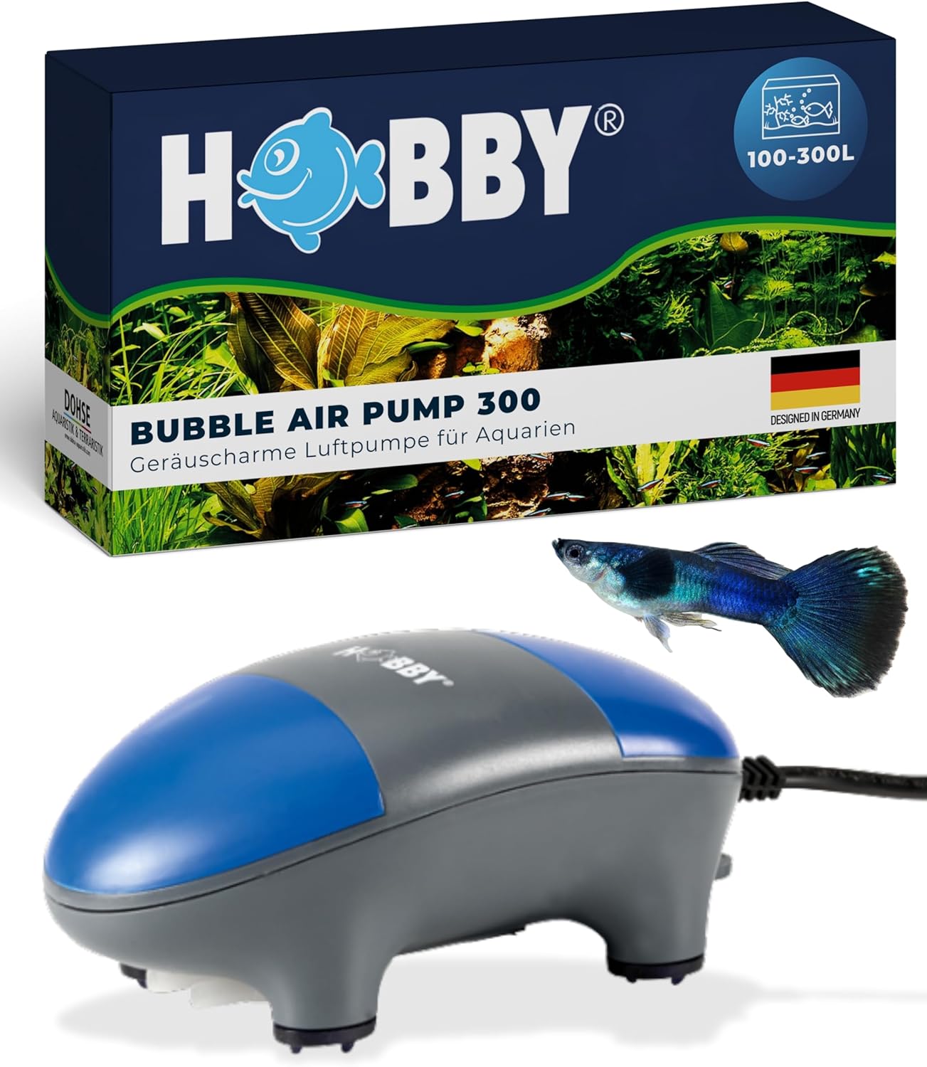 Luftpumpe mit Ausströmer